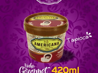 SORVETE AMERICANA - LINHA GOURMET - POTE DE 420 ml - SABOR TAPIOCA