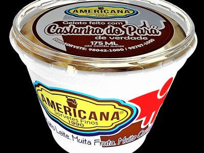 SORVETE AMERICANA - POTE DE 175 ml - SABOR CASTANHA DO PARÁ