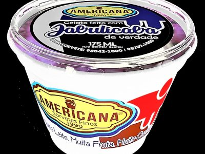 SORVETE AMERICANA - POTE DE 175 ml - SABOR JABUTICABA