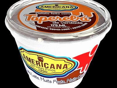 SORVETE AMERICANA - POTE DE 175 ml - SABOR TAPEREBÁ